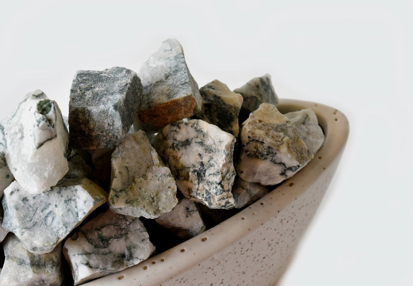 1Kg Tree Agate Rough Stones