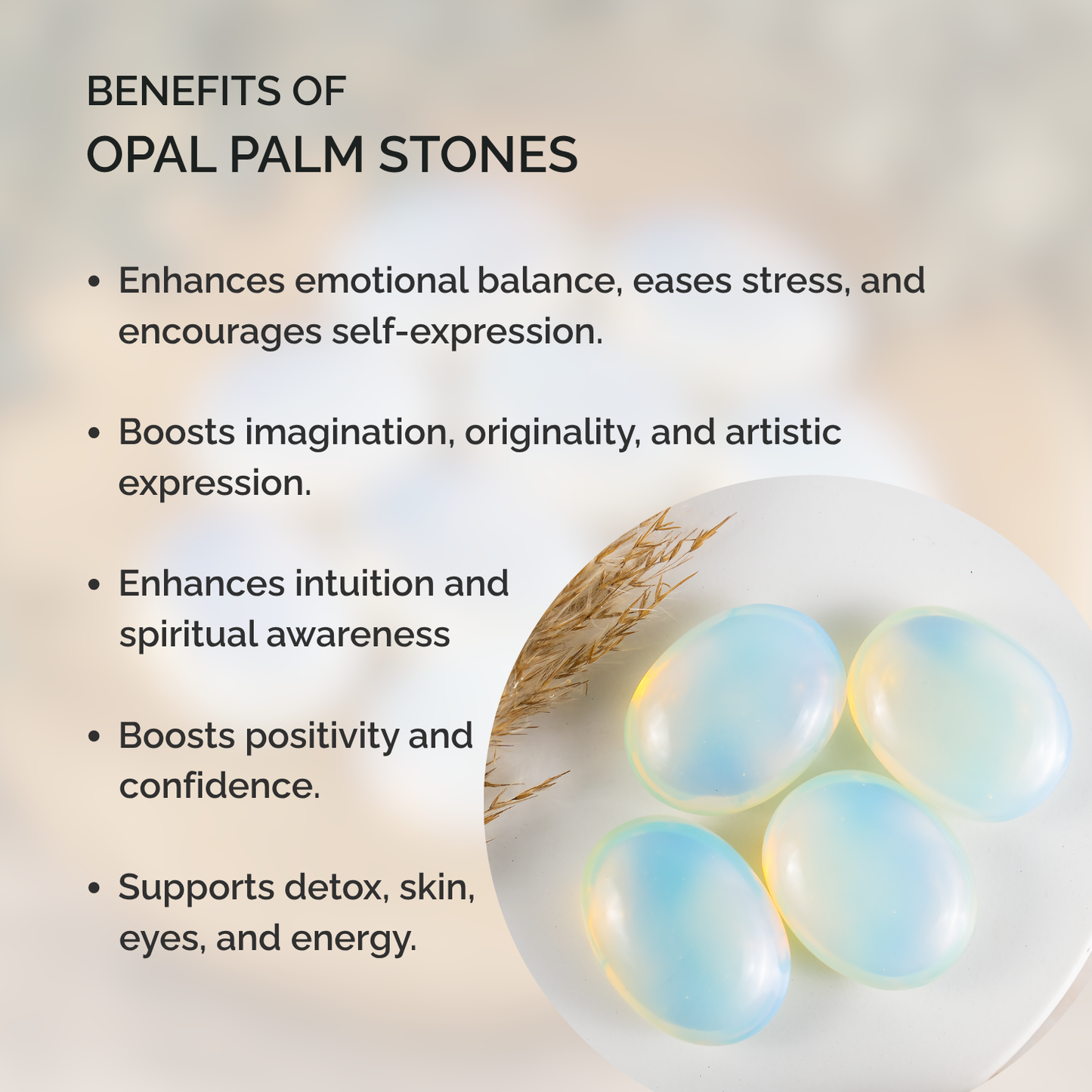 1kg Opal Palm Palm Stones (6-8Pcs)