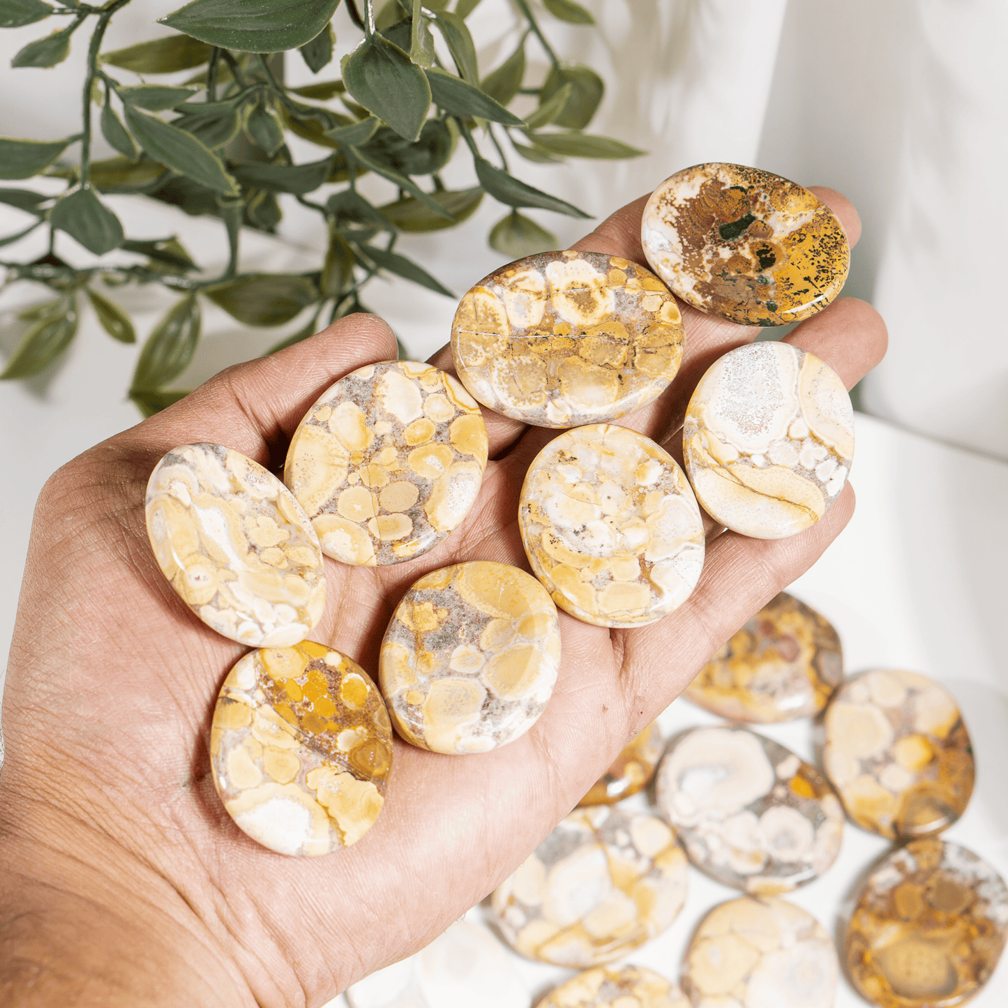 Conglomerate Worry Stones