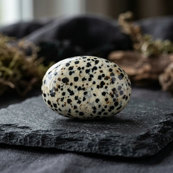 Dalmatian Jasper