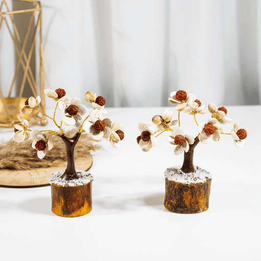 Gomati Tree | Rudraksha Beads | Gomati Chakra  | Spiritual & Feng Shui Decor