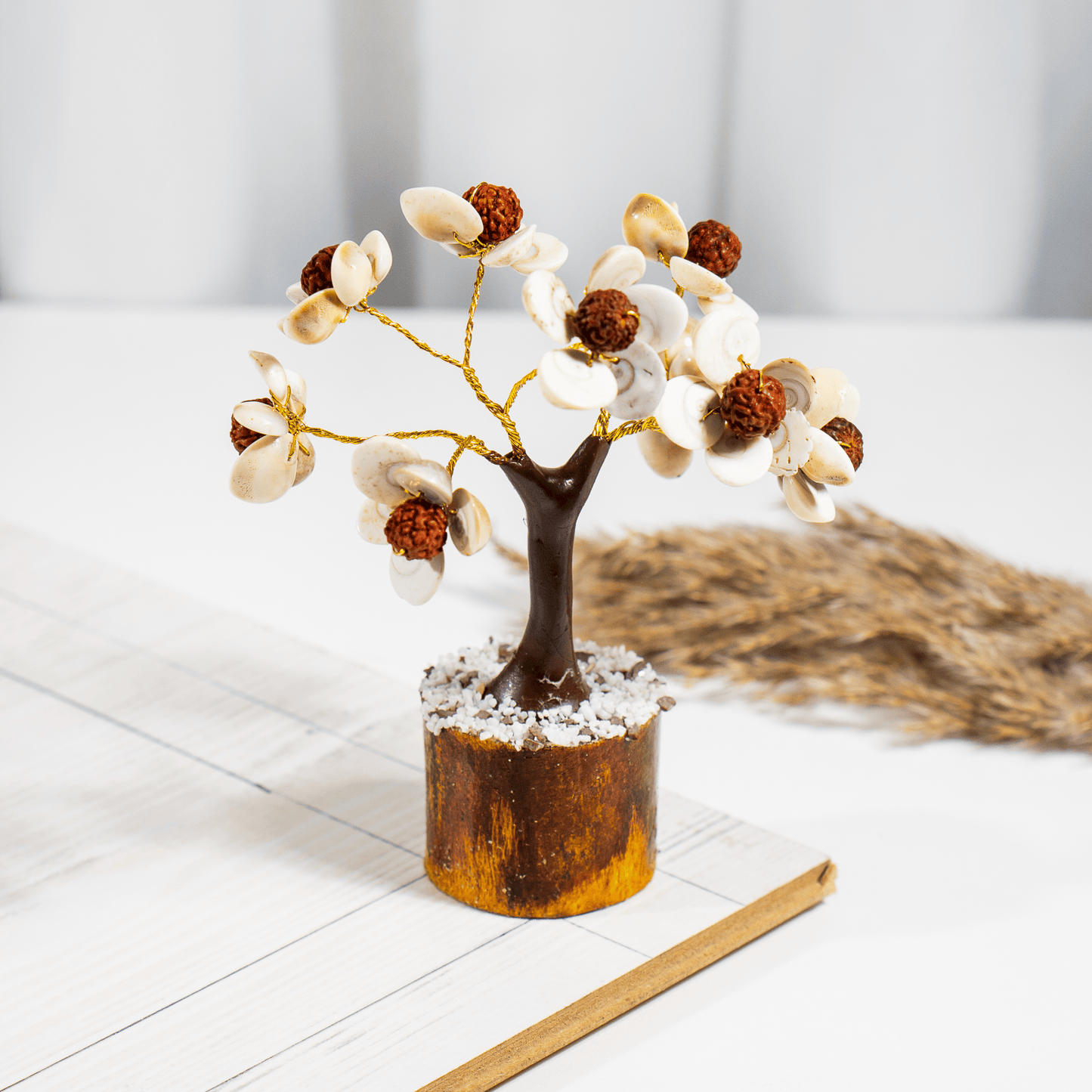 Gomati Tree | Rudraksha Beads | Gomati Chakra  | Spiritual & Feng Shui Decor