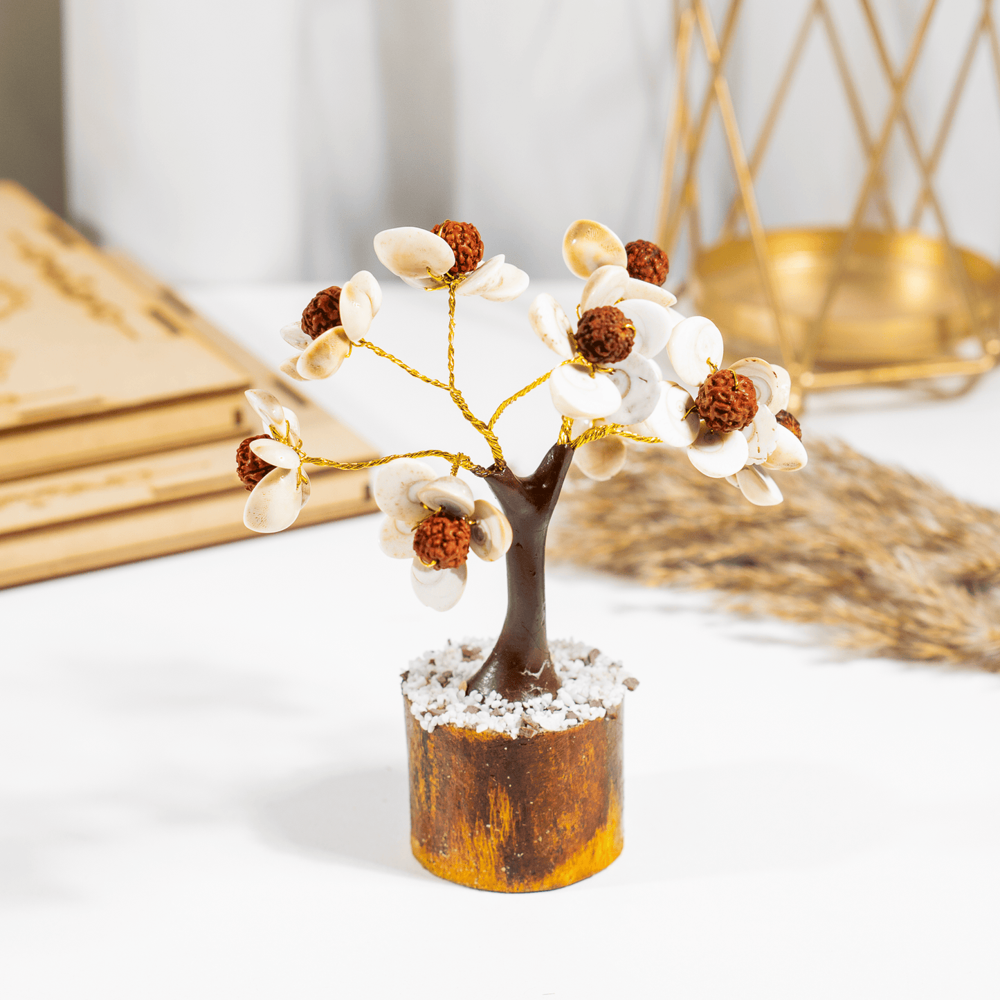 Gomati Tree | Rudraksha Beads | Gomati Chakra  | Spiritual & Feng Shui Decor