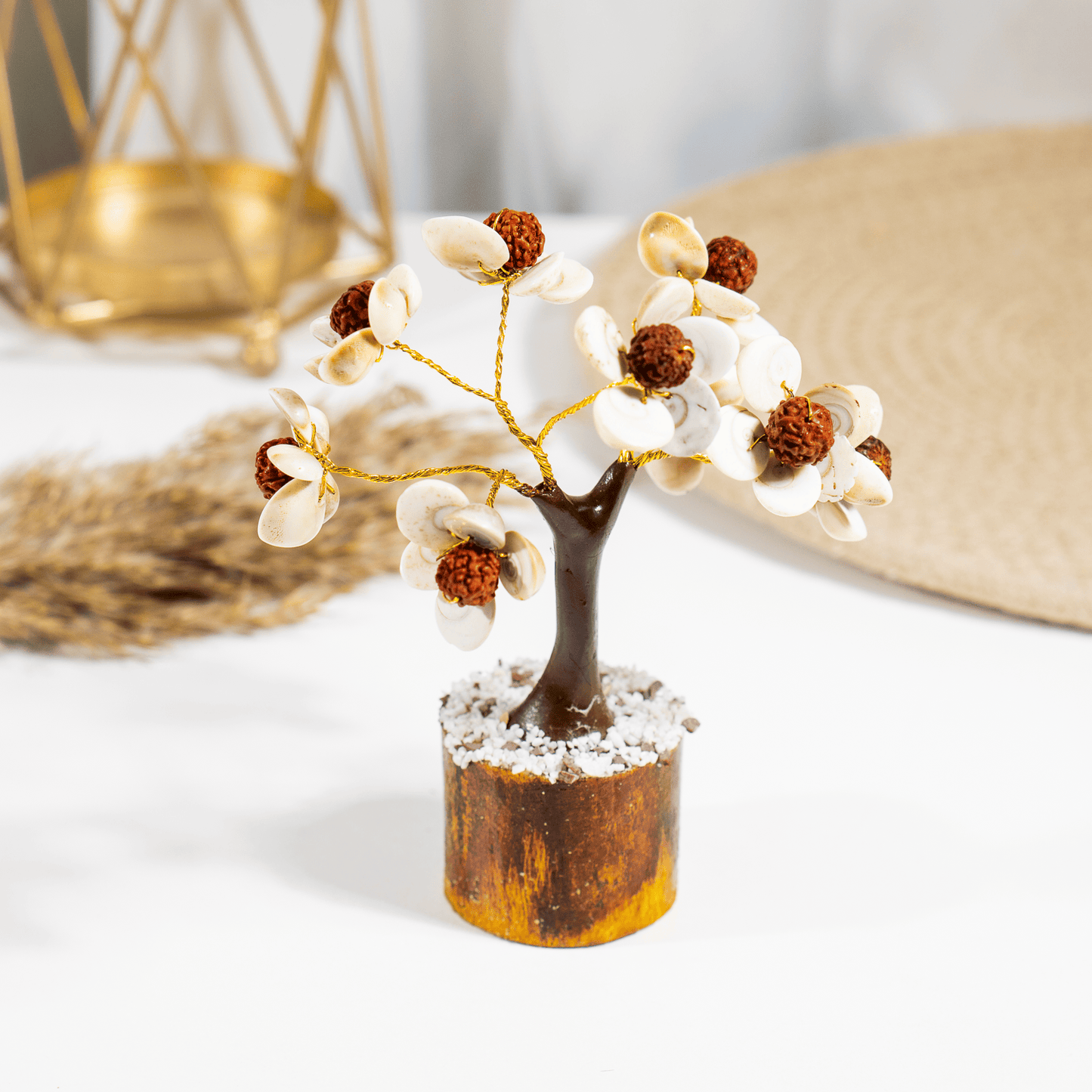 Gomati Tree | Rudraksha Beads | Gomati Chakra  | Spiritual & Feng Shui Decor