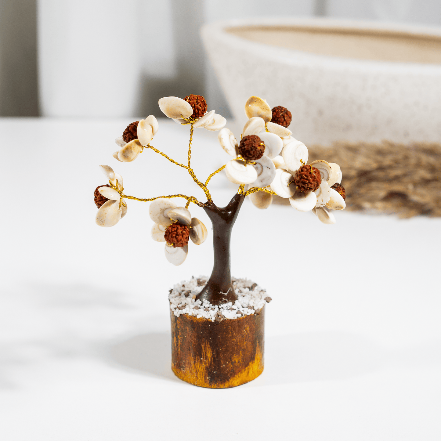 Gomati Tree | Rudraksha Beads | Gomati Chakra  | Spiritual & Feng Shui Decor