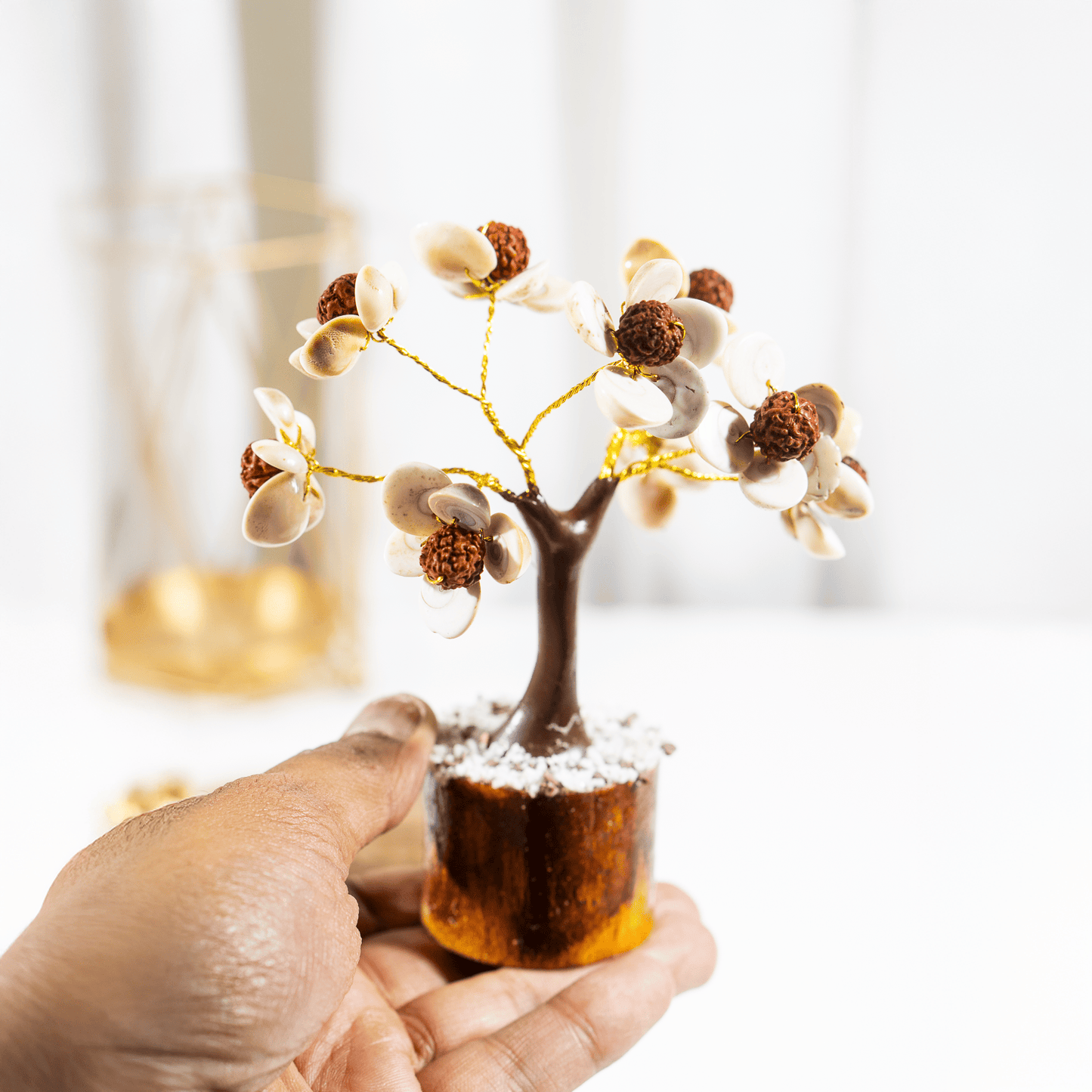 Gomati Tree | Rudraksha Beads | Gomati Chakra  | Spiritual & Feng Shui Decor