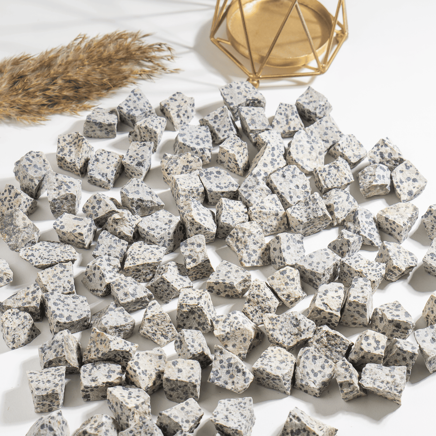 1Kg Dalmatian Jasper Rough Stones