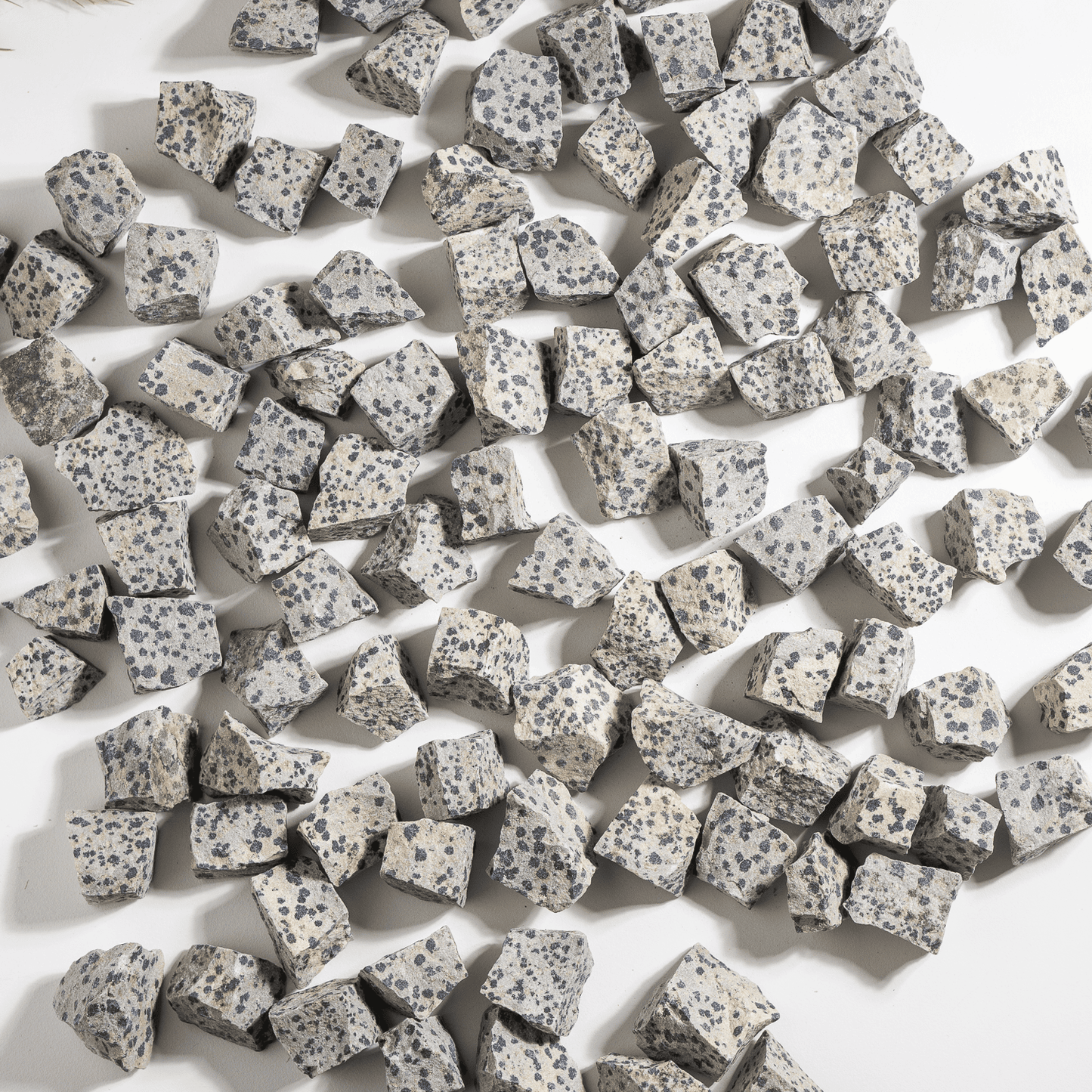 1Kg Dalmatian Jasper Rough Stones