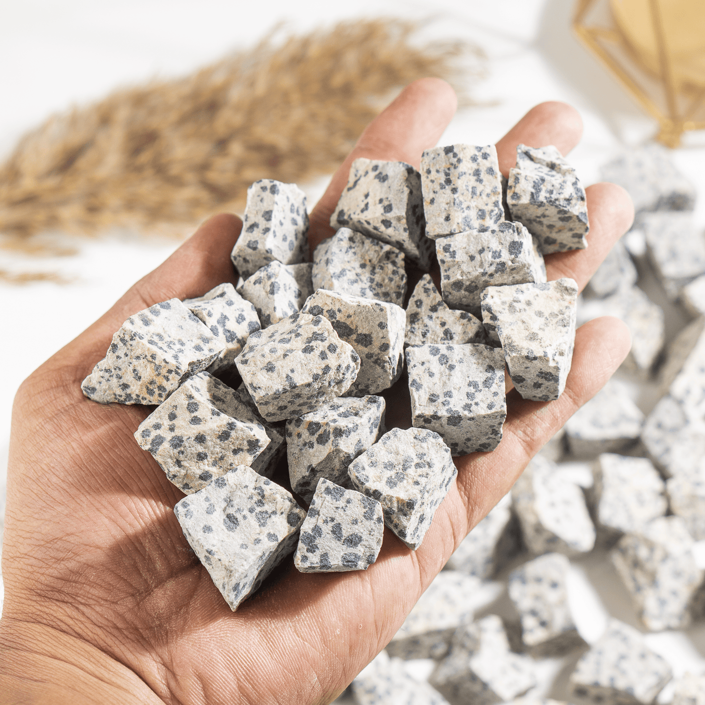 1Kg Dalmatian Jasper Rough Stones