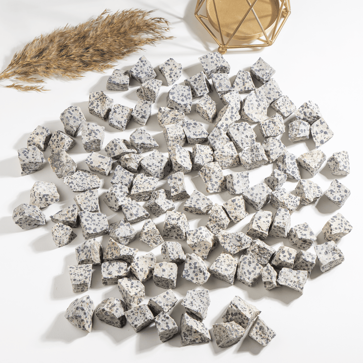 1Kg Dalmatian Jasper Rough Stones