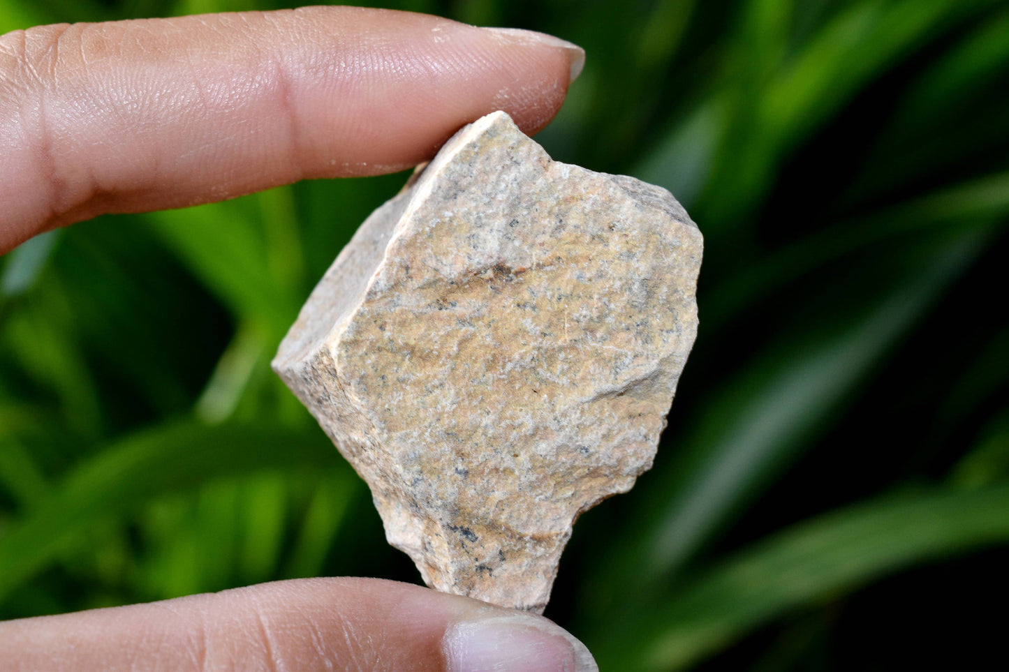 1Kg Picture Jasper Rough Natural Stones