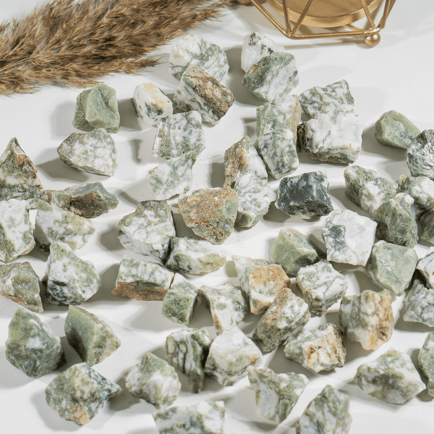 1Kg Tree Agate Rough Stones