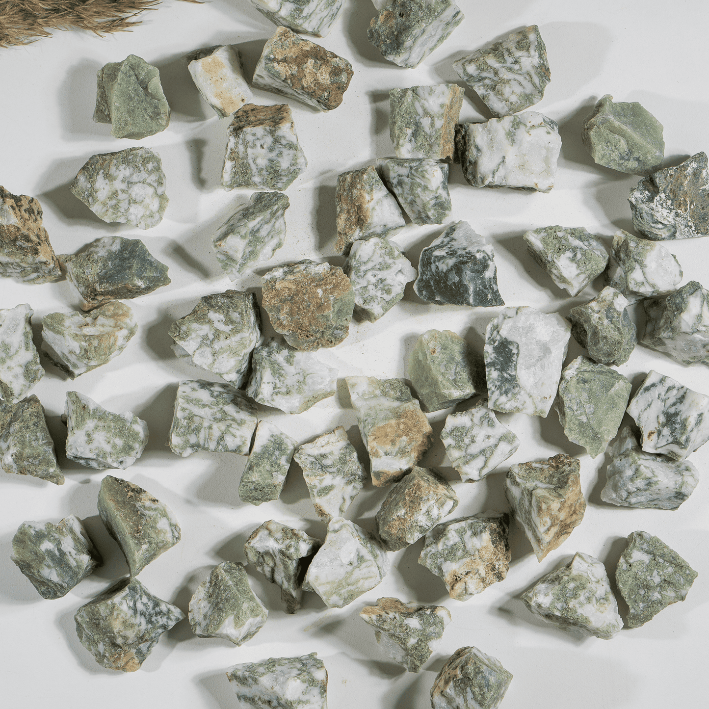 1Kg Tree Agate Rough Stones