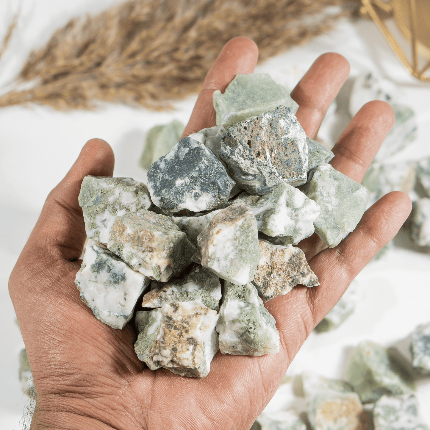1Kg Tree Agate Rough Stones