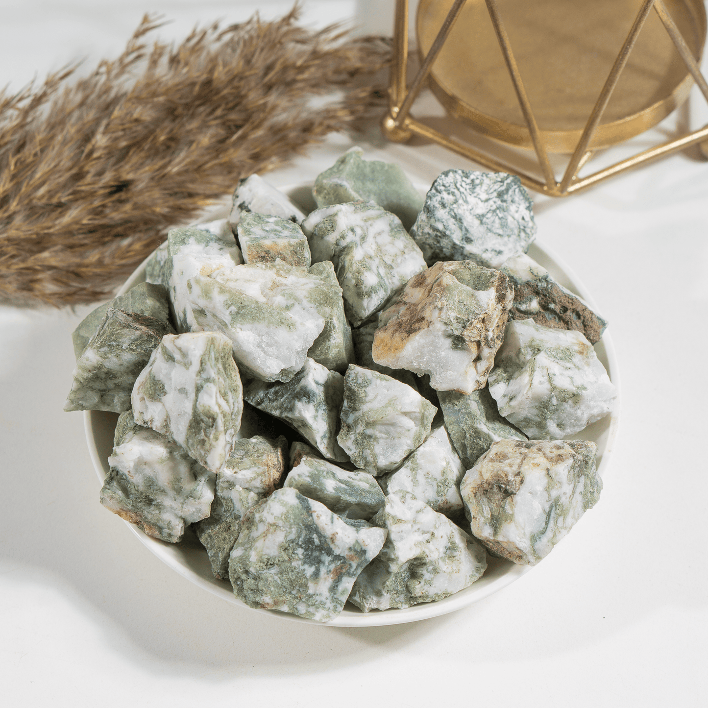 1Kg Tree Agate Rough Stones