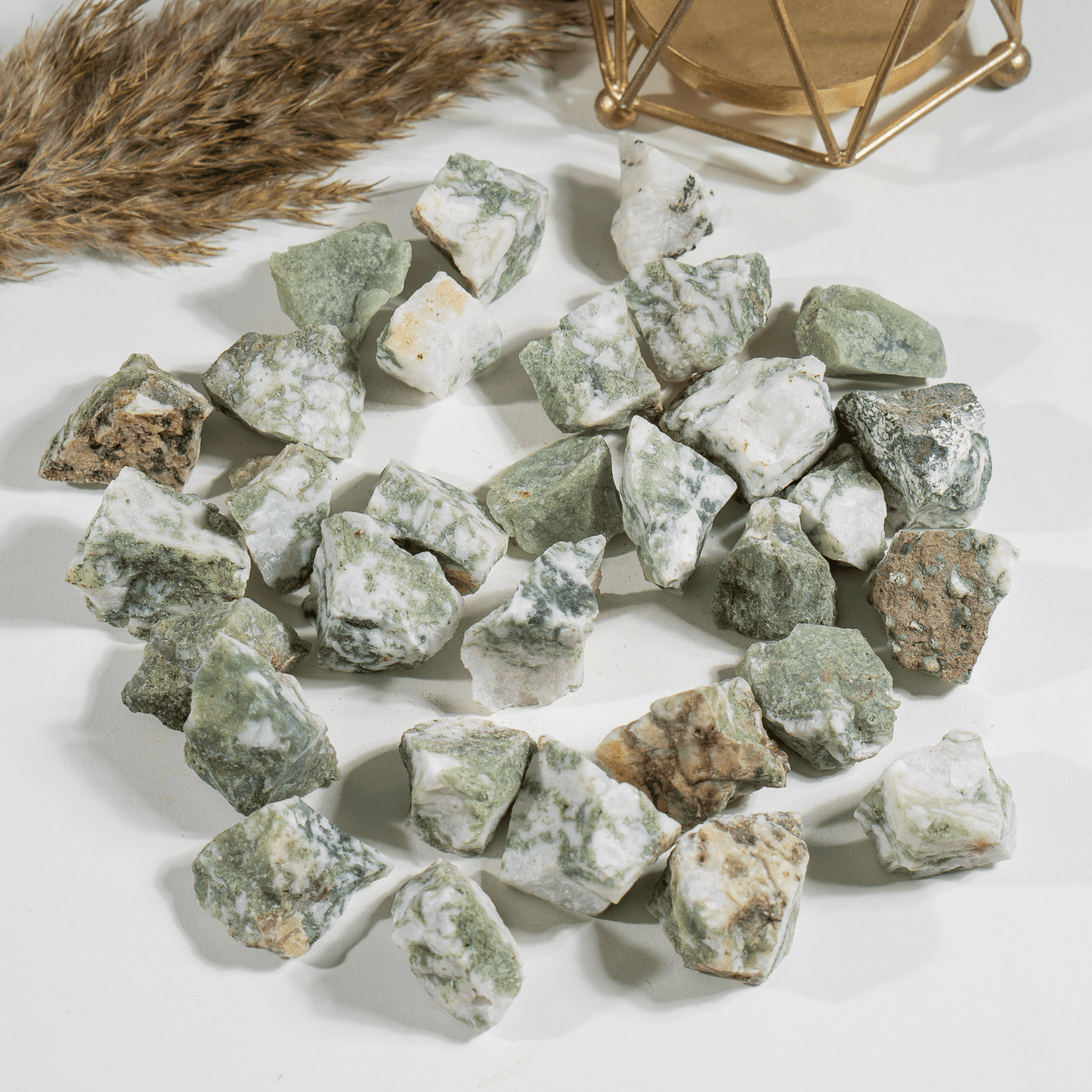 1Kg Tree Agate Rough Stones