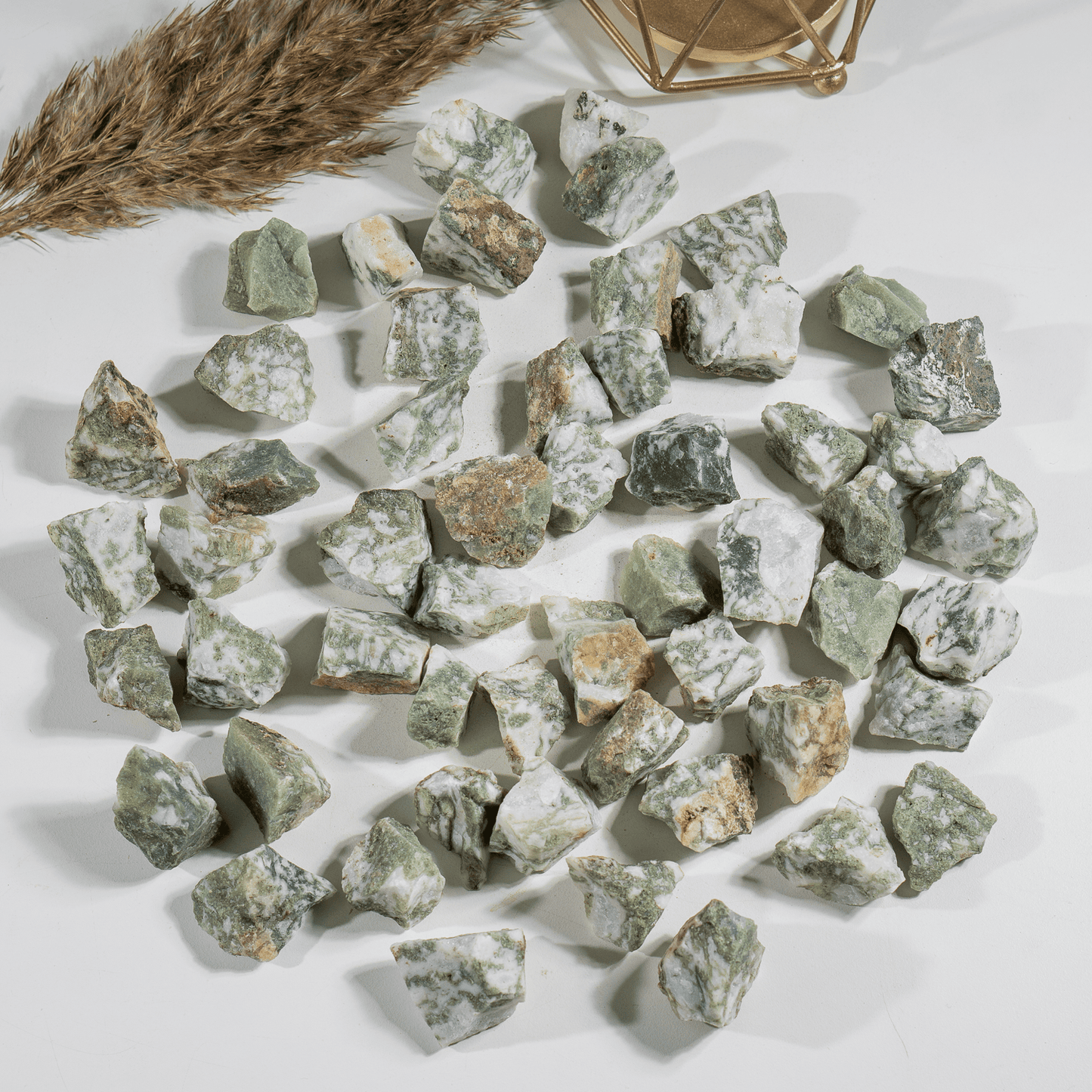1Kg Tree Agate Rough Stones