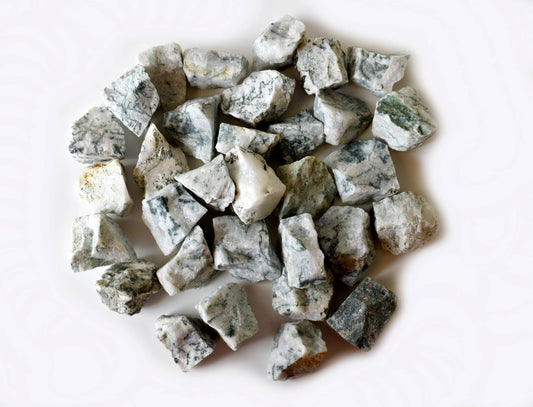 1Kg Tree Agate Rough Stones