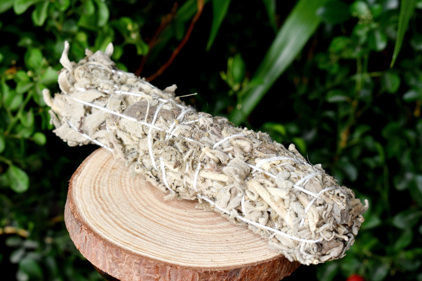 White Sage, White Sage Stick, White Sage Smudge