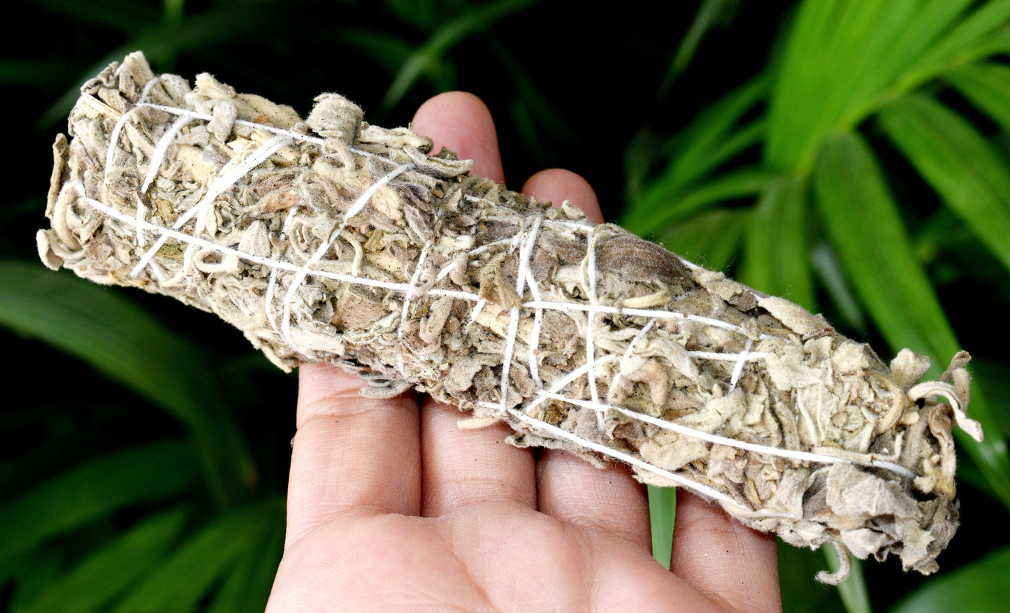 White Sage, White Sage Stick, White Sage Smudge