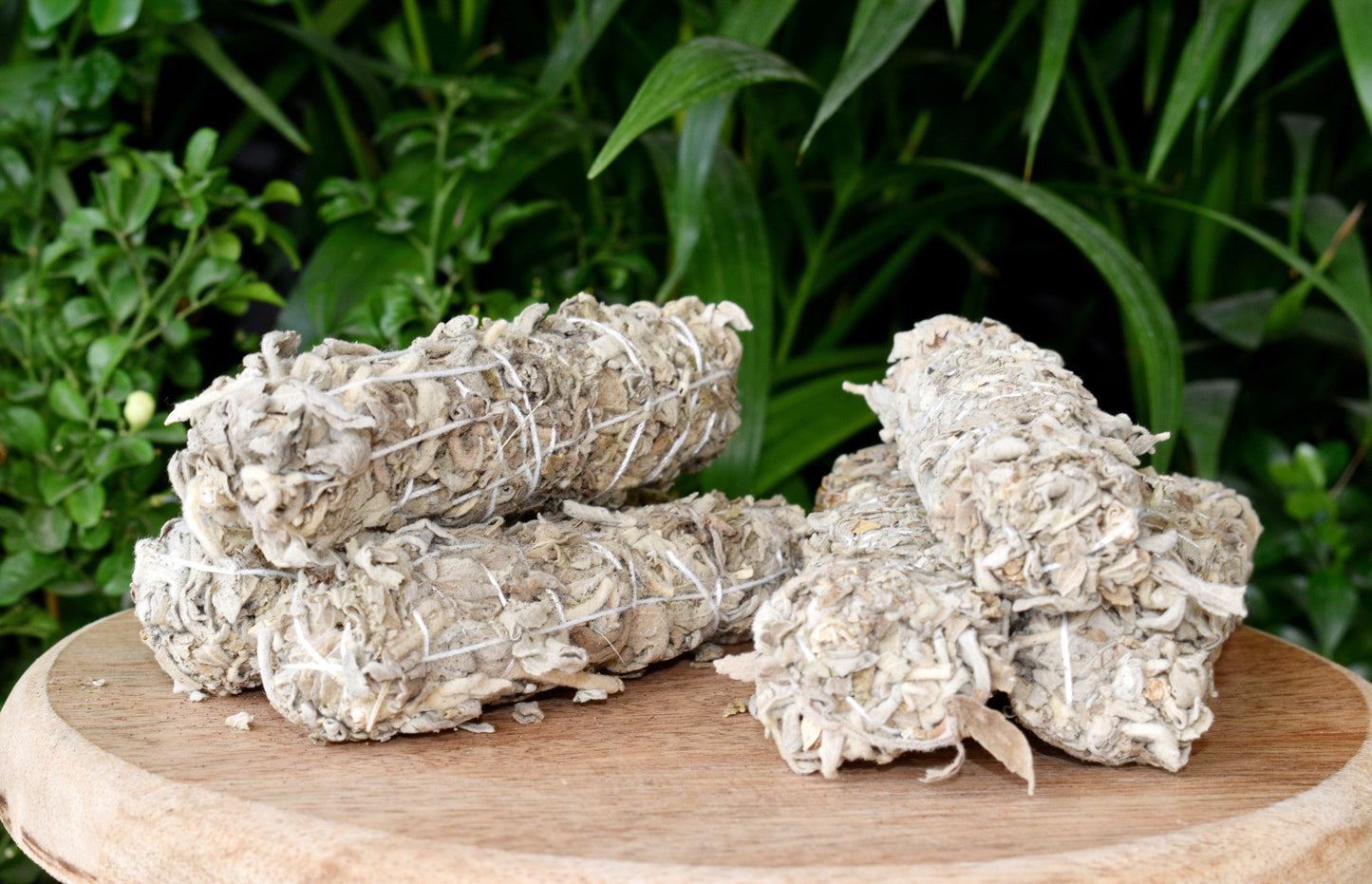 White Sage, White Sage Stick, White Sage Smudge