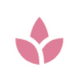 Gift Stores & Lifestyle Boutiques