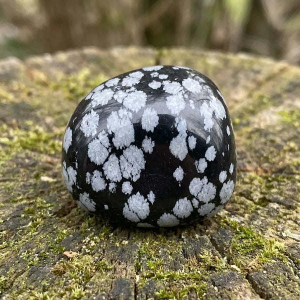 Snowflake Obsidian