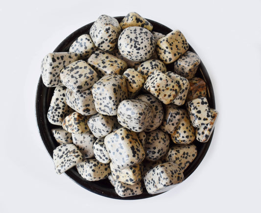 1Kg Dalmatian Jasper Tumbled Stones