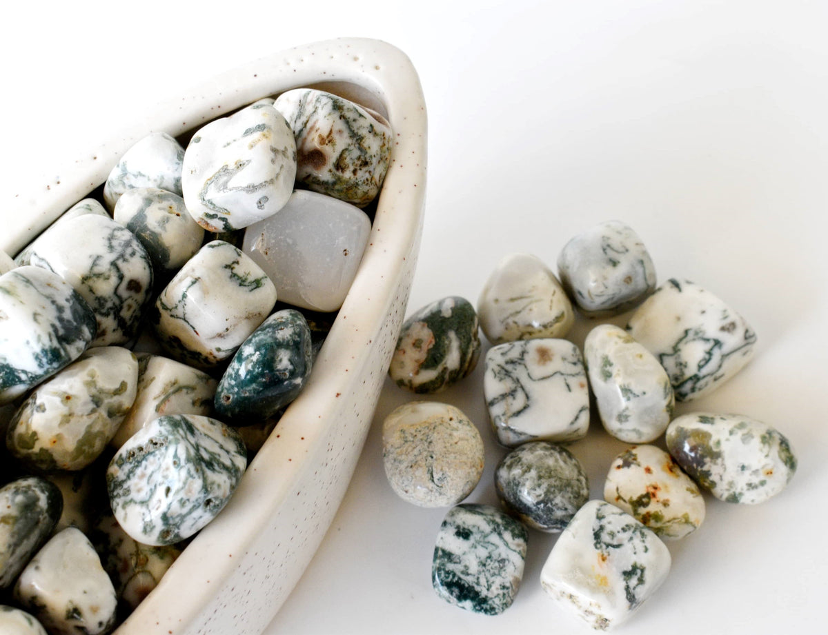 1Kg Tree Agate Tumbled Stones