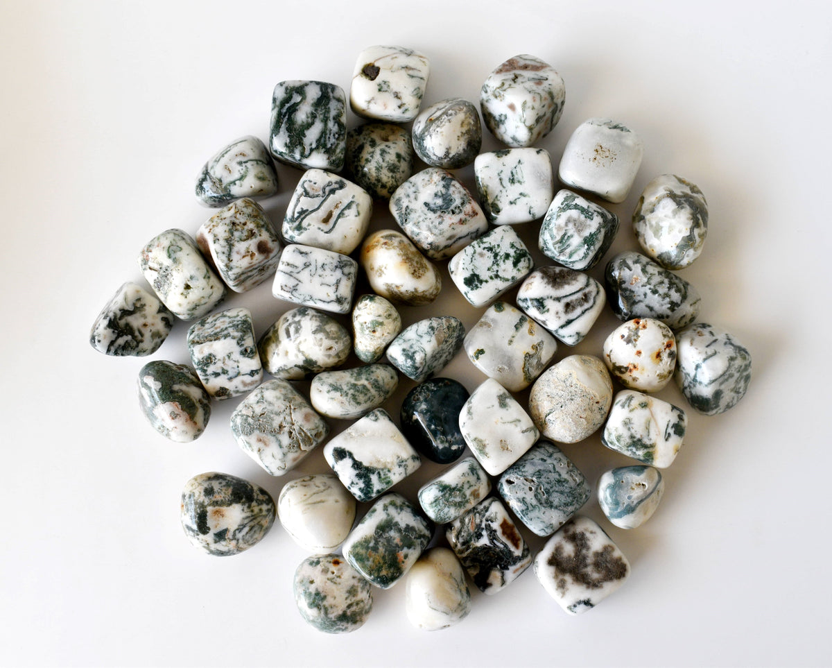 1Kg Tree Agate Tumbled Stones