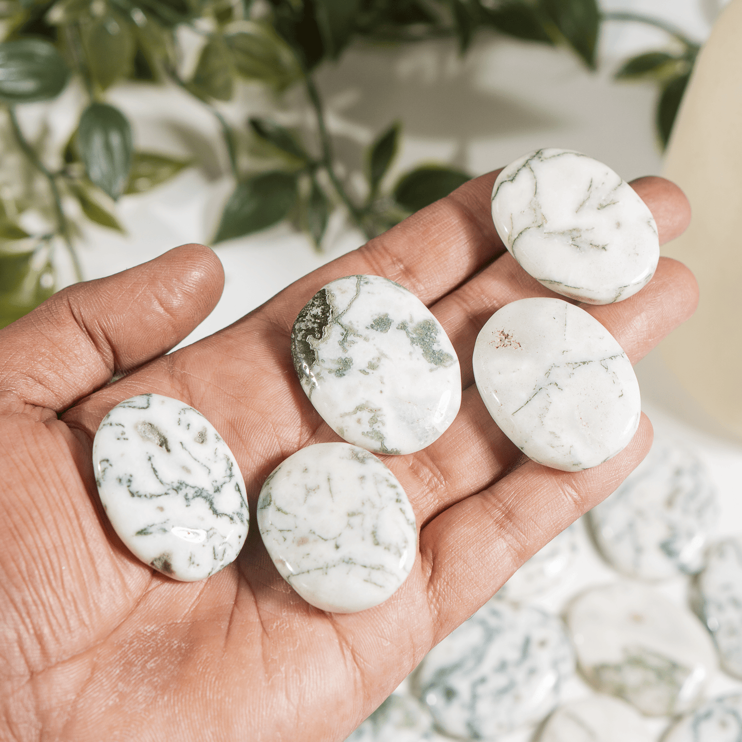 Tree Agate Flat Stone