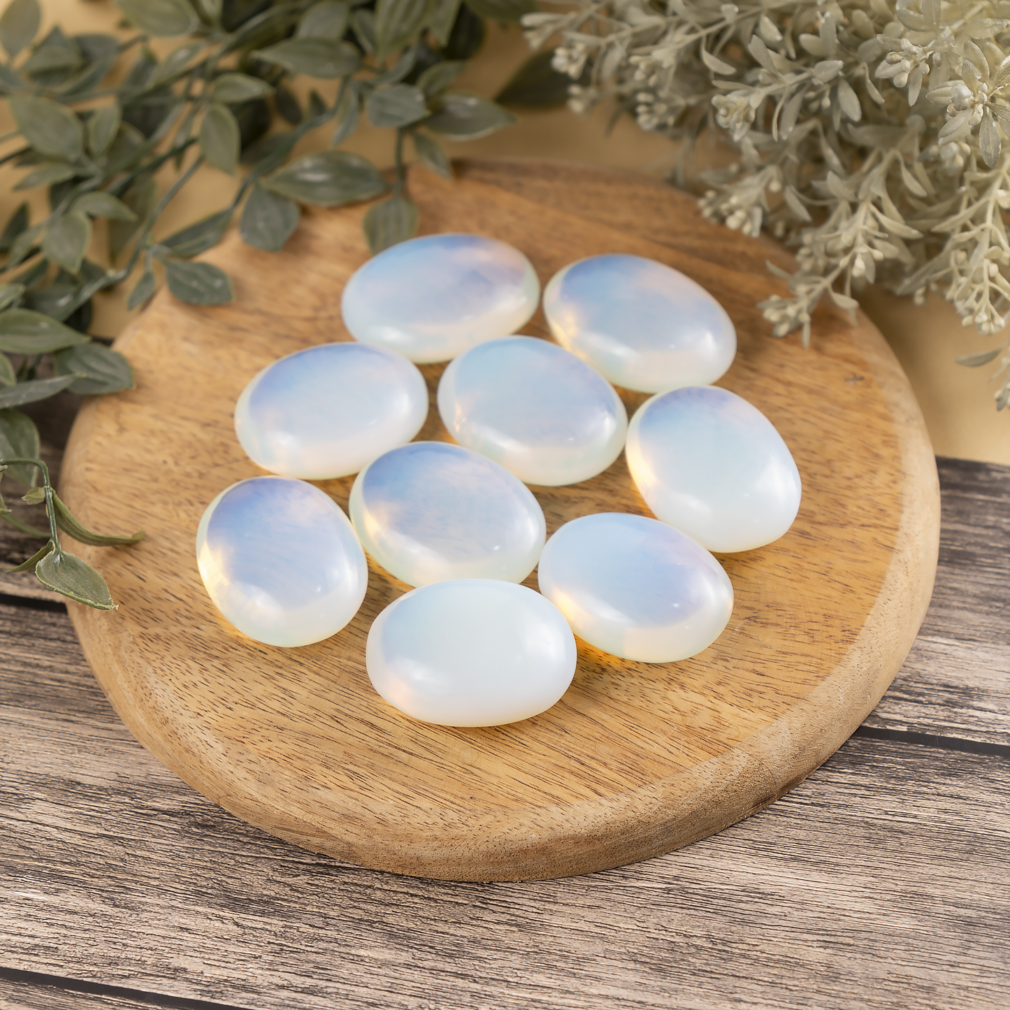 1kg Opal Palm Palm Stones (6-8Pcs)