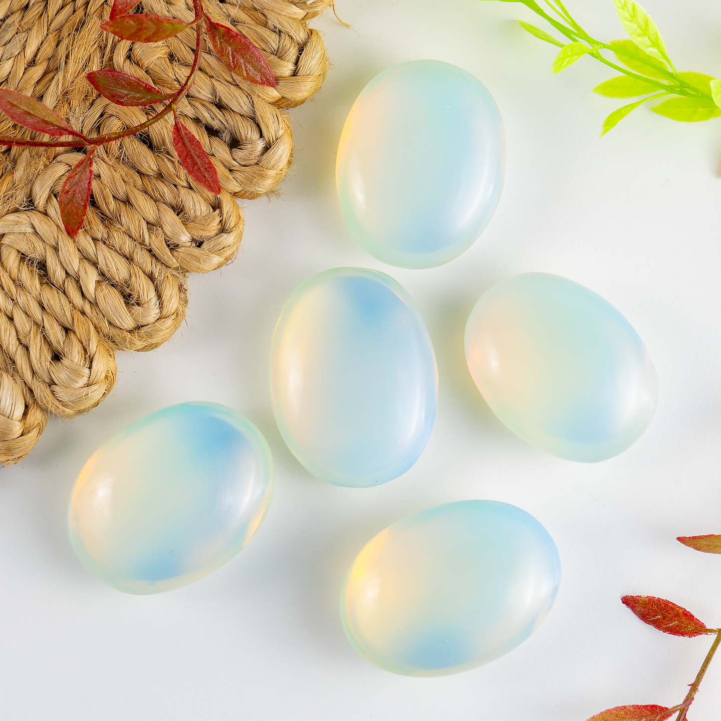 1kg Opal Palm Palm Stones (6-8Pcs)