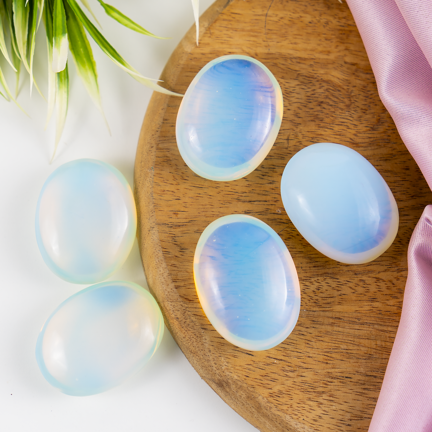 1kg Opal Palm Palm Stones (6-8Pcs)