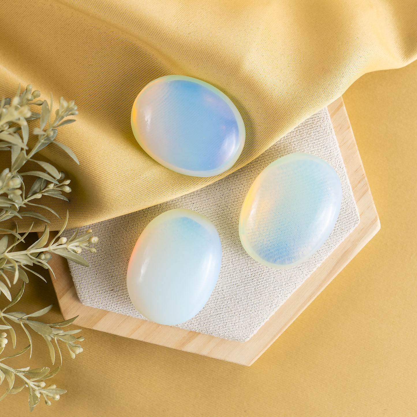 1kg Opal Palm Palm Stones (6-8Pcs)