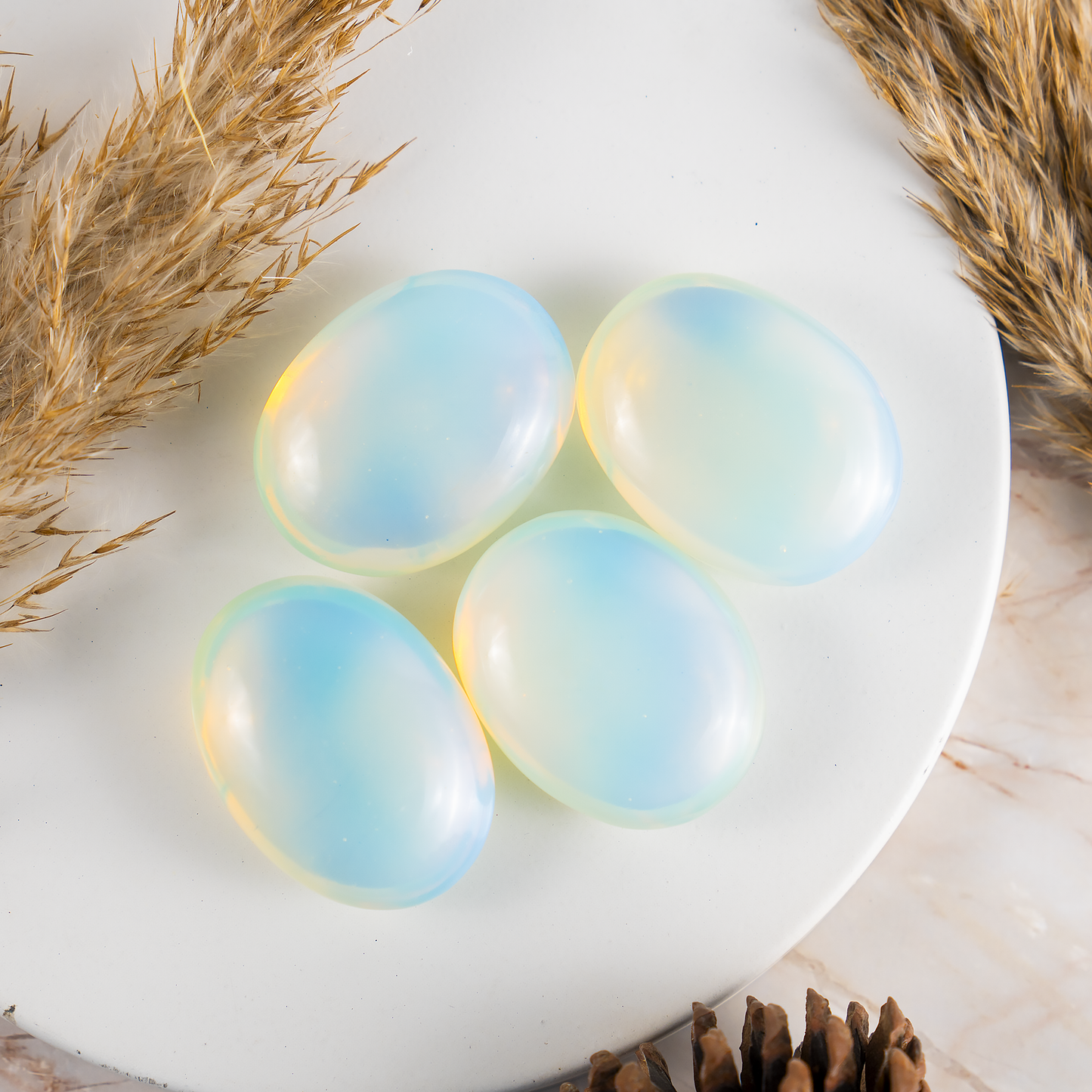 1kg Opal Palm Palm Stones (6-8Pcs)