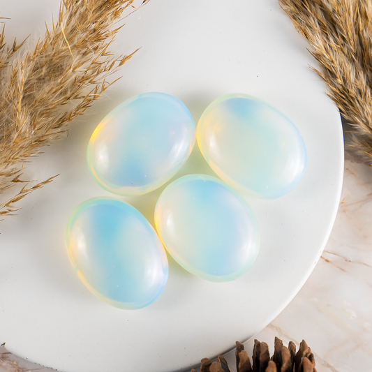 1kg Opal Palm Palm Stones (6-8Pcs)