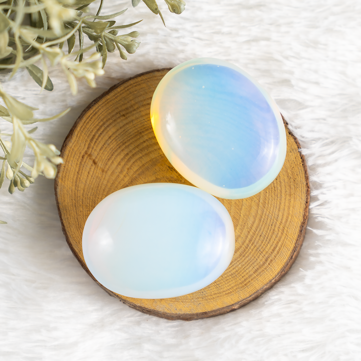 1kg Opal Palm Palm Stones (6-8Pcs)