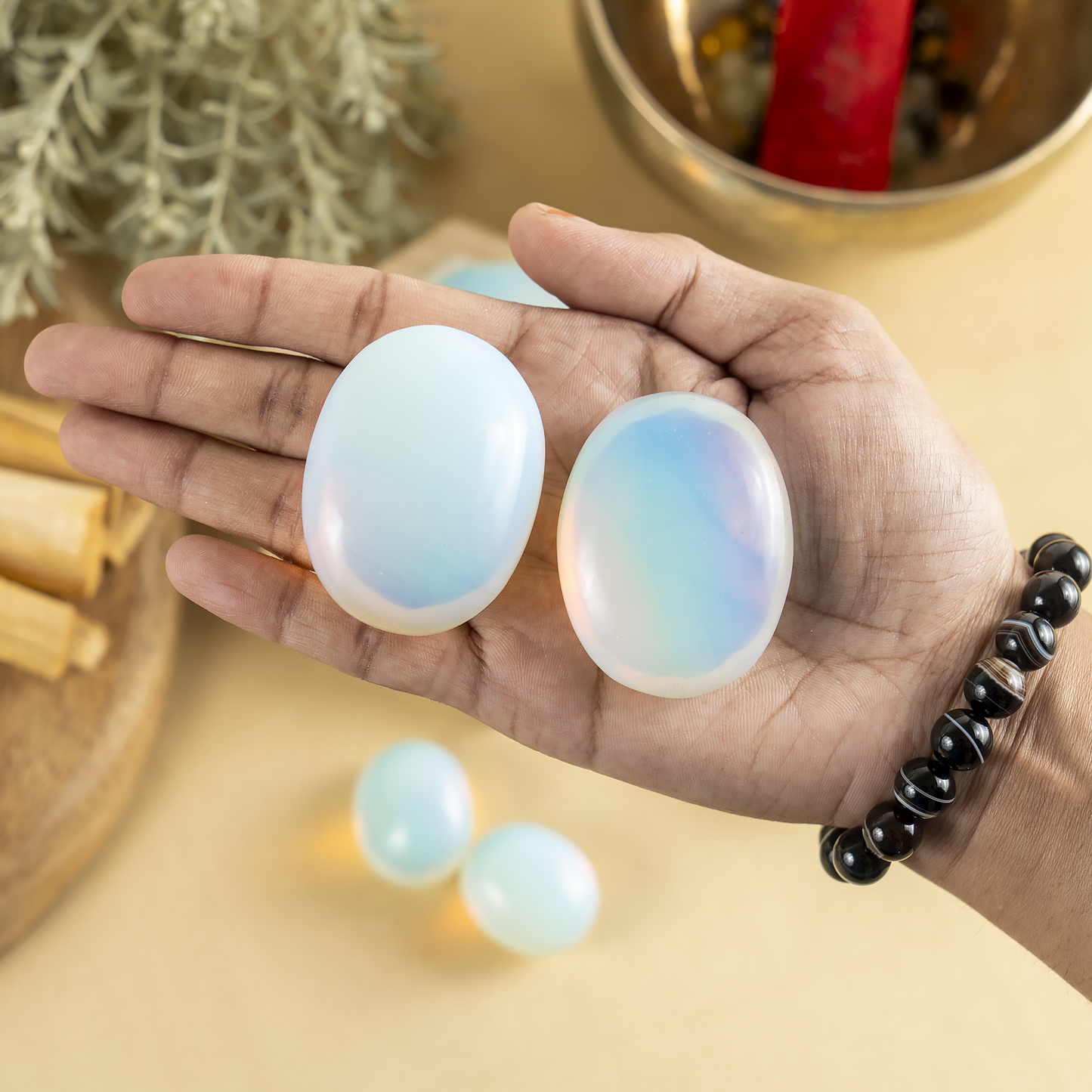 1kg Opal Palm Palm Stones (6-8Pcs)