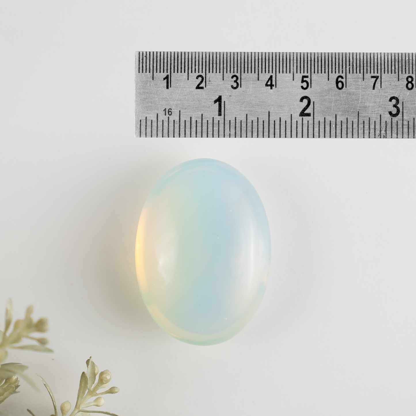 1kg Opal Palm Palm Stones (6-8Pcs)