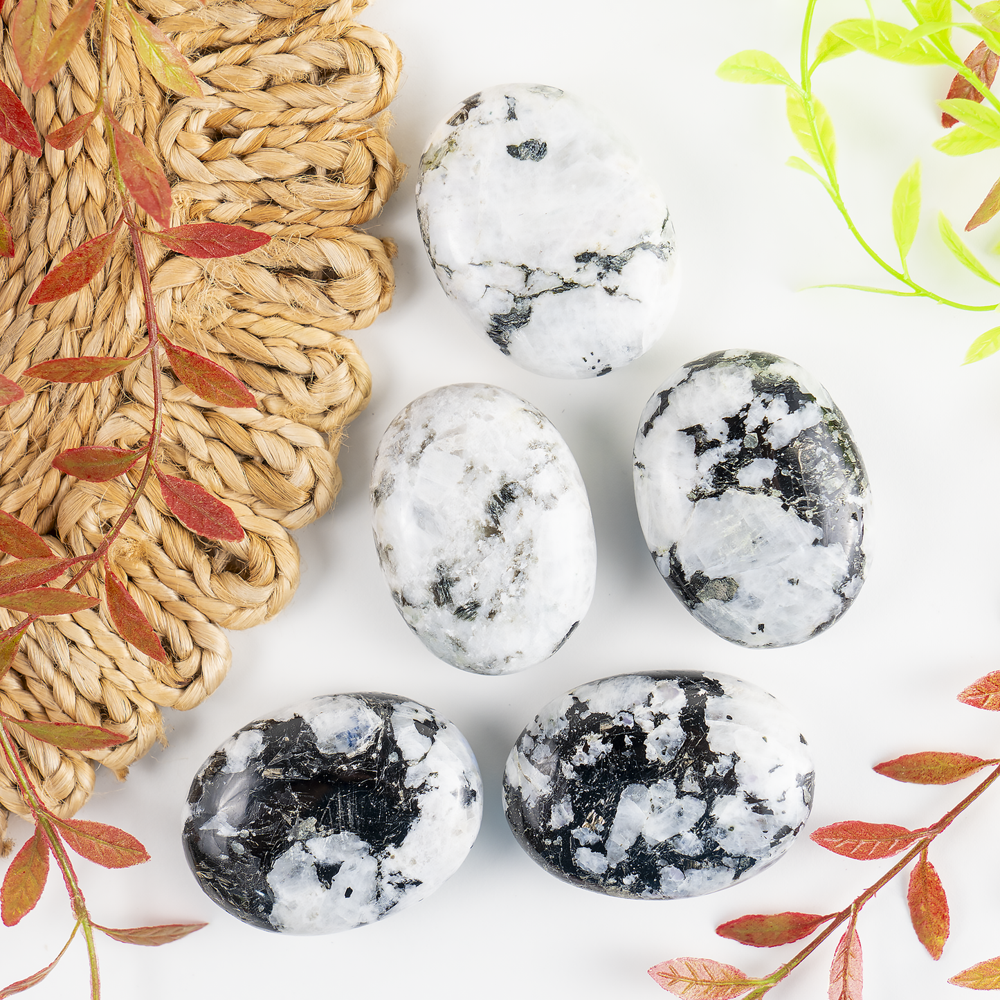 1kg Rainbow Moonstone Palm Stones (6-8Pcs)