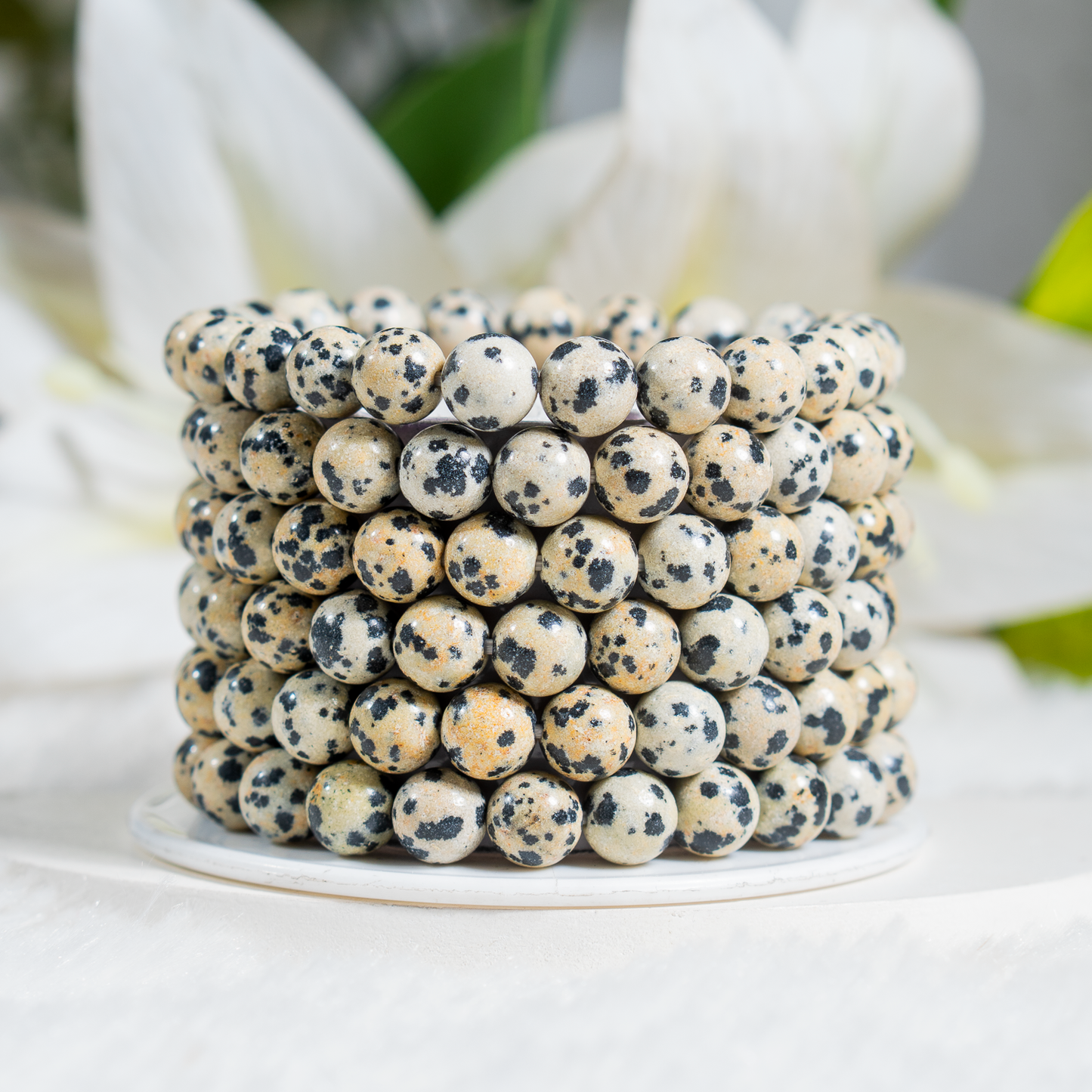Dalmatian Jasper Gemstone Bracelet