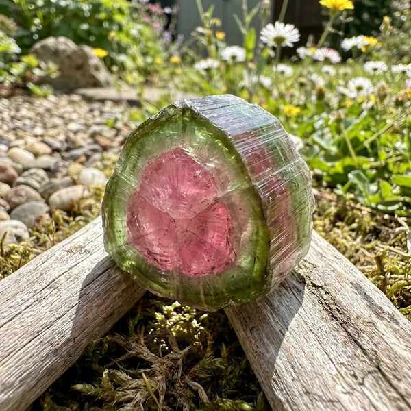 Watermelon Tourmaline